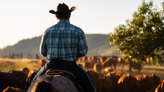Vita da ranch: una vacanza da cowboy
