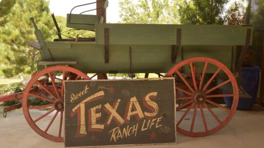 Ranch in Texas, vivi da cowboy